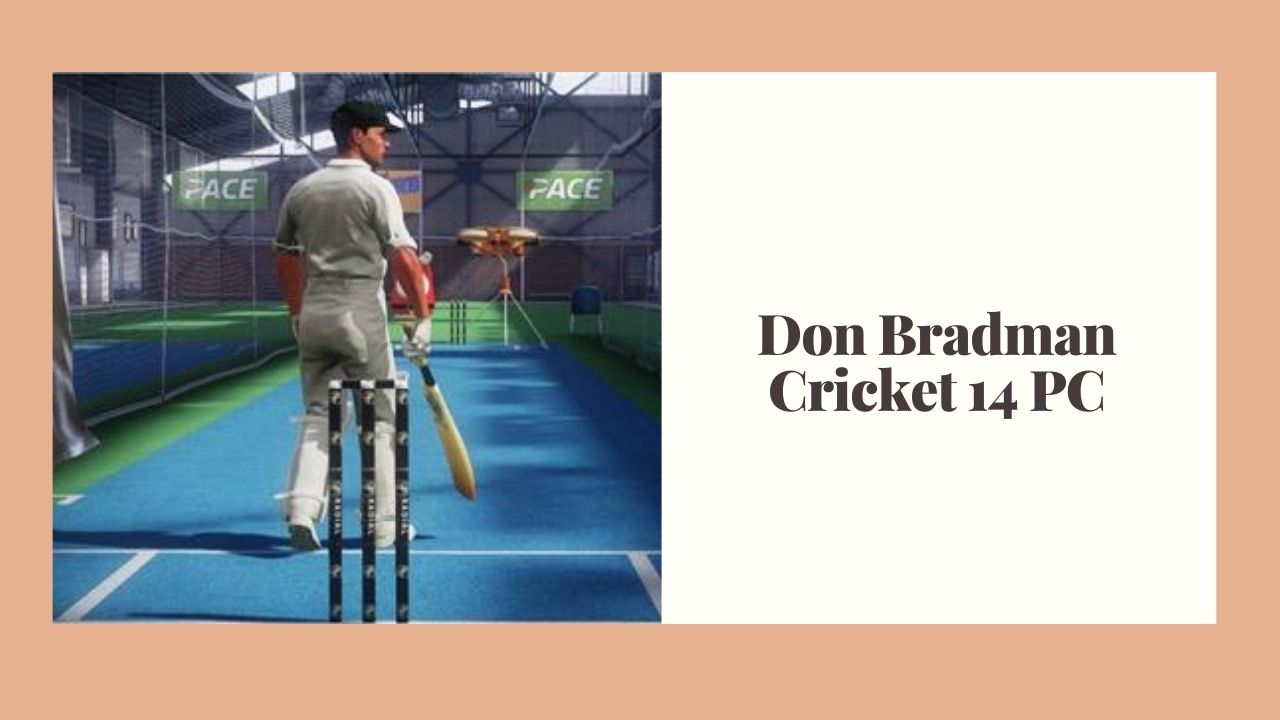 Don Bradman Cricket 14 system requirements