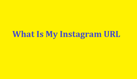 What Is My Instagram URL