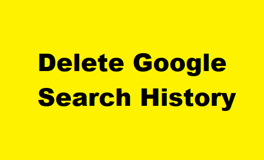  Delete your Google Search History